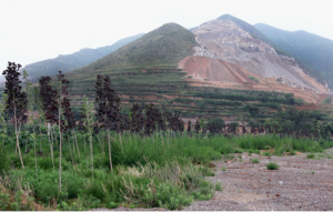 安裝除塵設備后環(huán)境